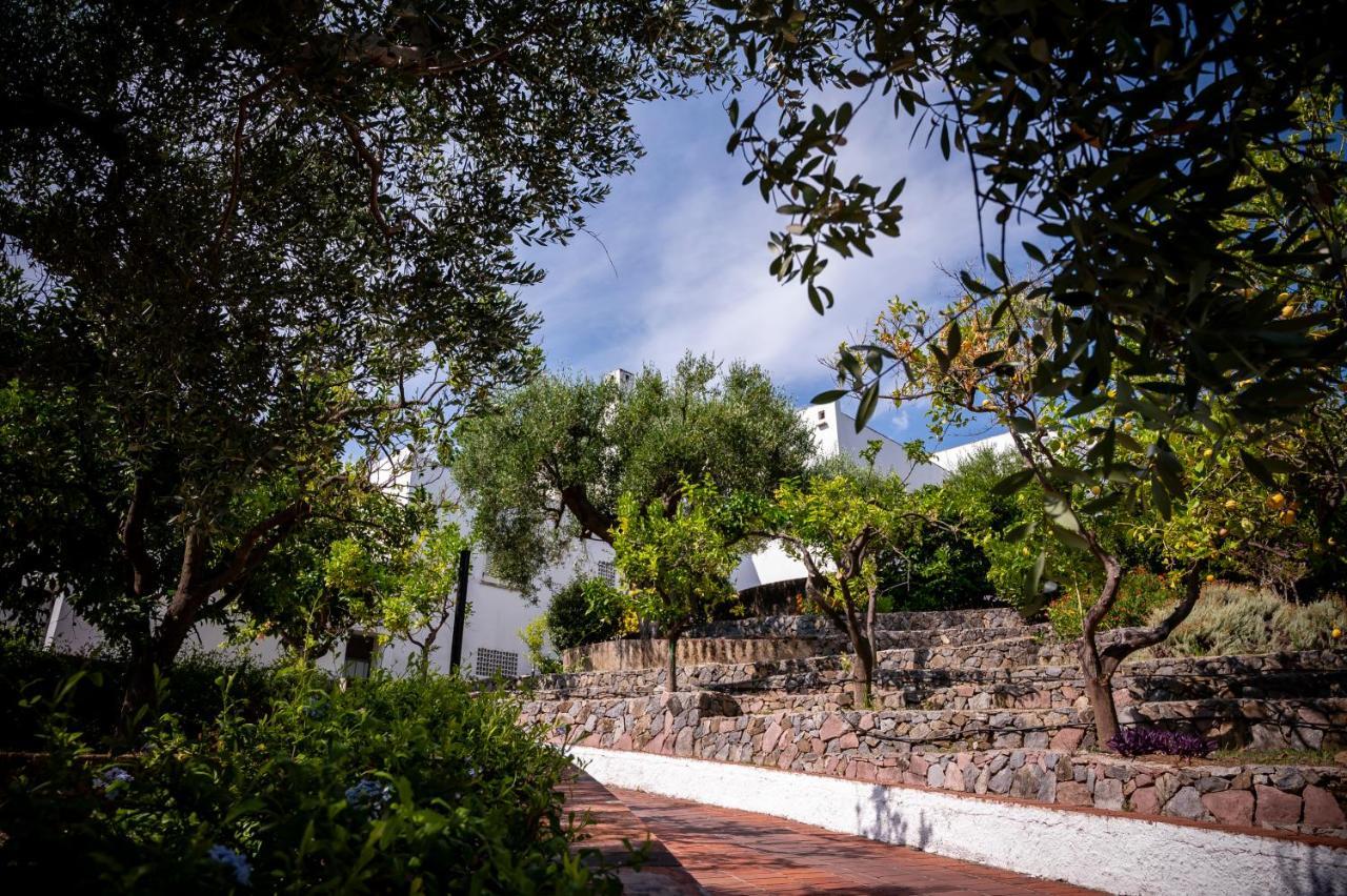 B&B Casabianca Palinuro Eksteriør bilde