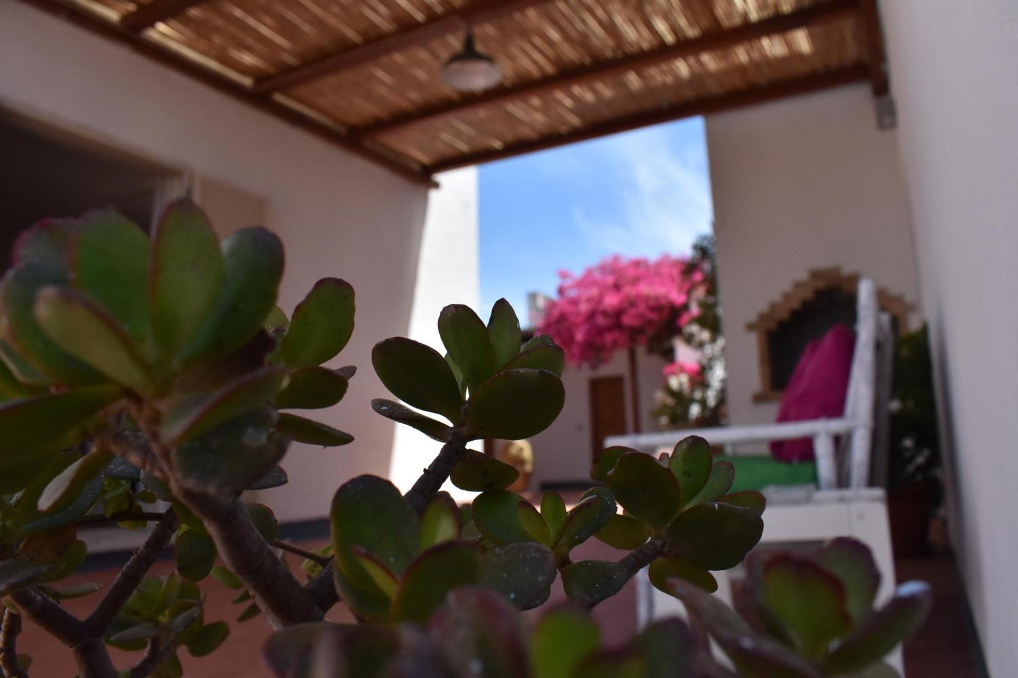 B&B Casabianca Palinuro Eksteriør bilde